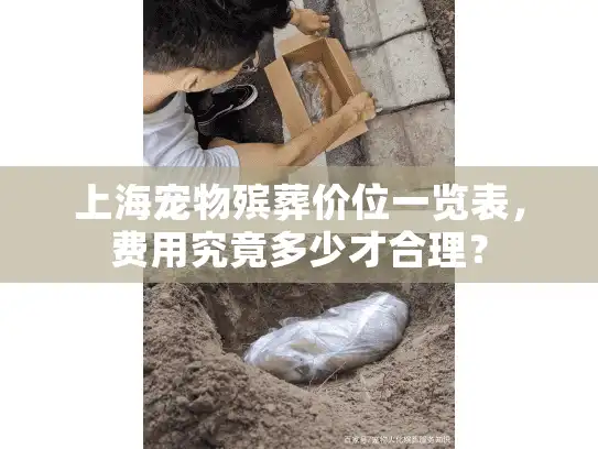 上海宠物殡葬价位一览表，费用究竟多少才合理？