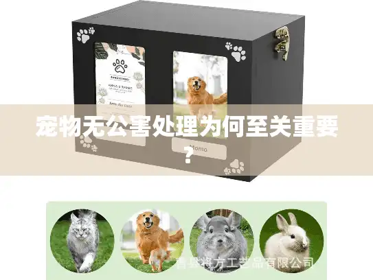 宠物无公害处理为何至关重要？