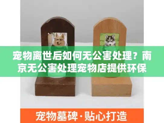 宠物离世后如何无公害处理？南京无公害处理宠物店提供环保方案