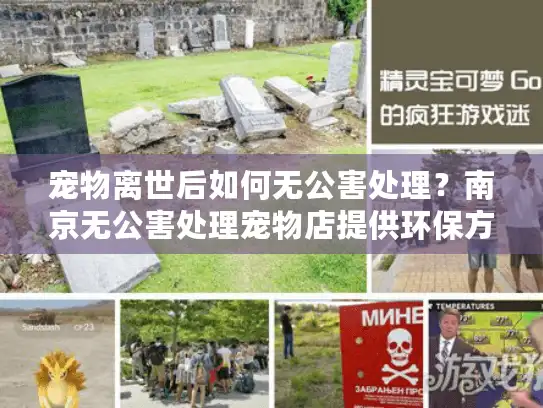 宠物离世后如何无公害处理？南京无公害处理宠物店提供环保方案