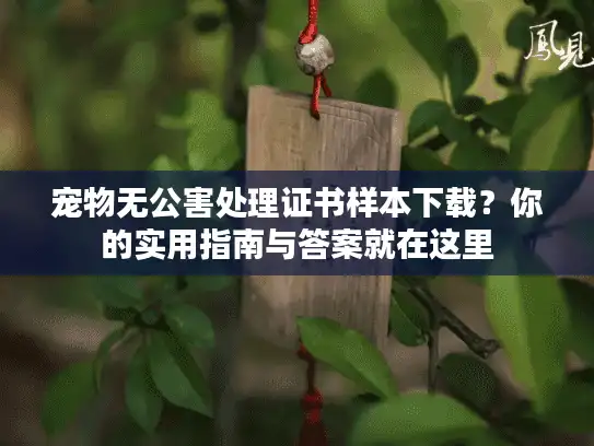 宠物无公害处理证书样本下载？你的实用指南与答案就在这里