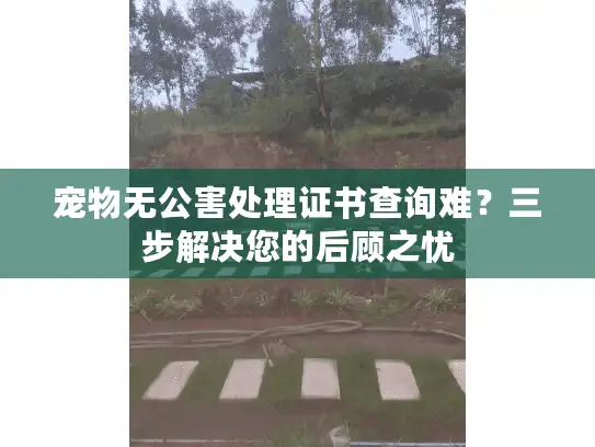 宠物无公害处理证书查询难？三步解决您的后顾之忧