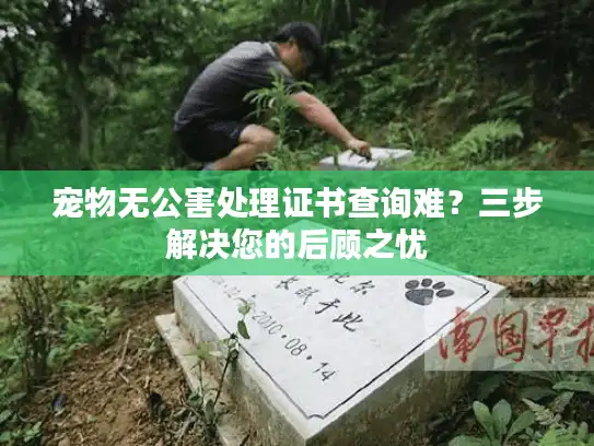 宠物无公害处理证书查询难？三步解决您的后顾之忧