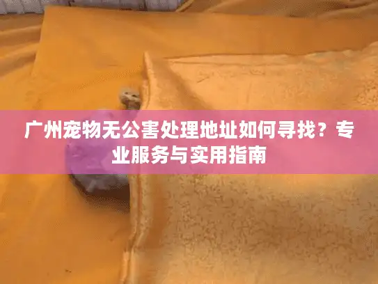 广州宠物无公害处理地址如何寻找？专业服务与实用指南