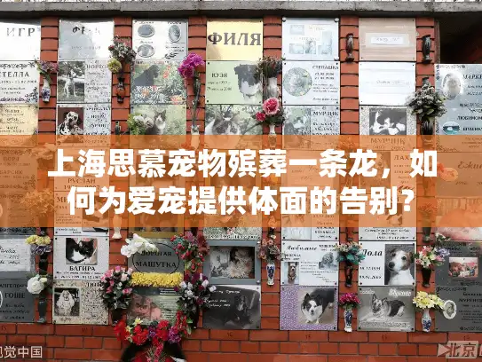 上海思慕宠物殡葬一条龙，如何为爱宠提供体面的告别？