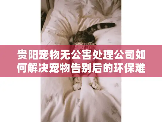 贵阳宠物无公害处理公司如何解决宠物告别后的环保难题?