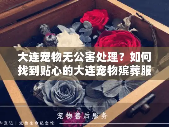大连宠物无公害处理？如何找到贴心的大连宠物殡葬服务