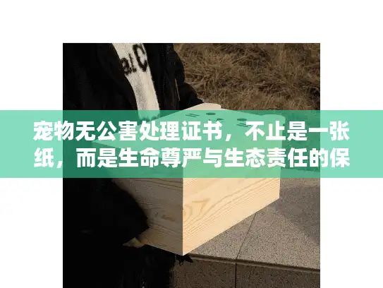 宠物无公害处理证书，不止是一张纸，而是生命尊严与生态责任的保障