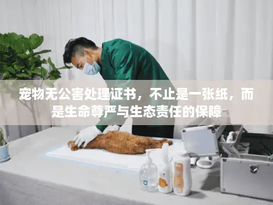 宠物无公害处理证书，不止是一张纸，而是生命尊严与生态责任的保障