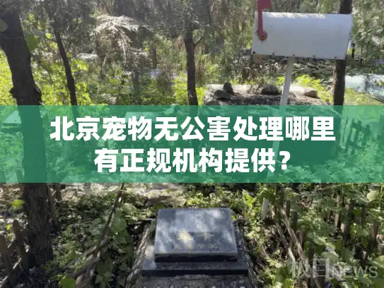 北京宠物无公害处理哪里有正规机构提供？