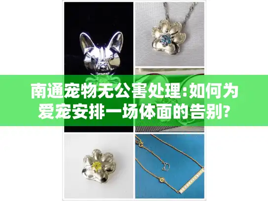南通宠物无公害处理:如何为爱宠安排一场体面的告别?