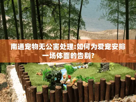 南通宠物无公害处理:如何为爱宠安排一场体面的告别?