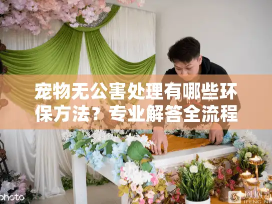 宠物无公害处理有哪些环保方法？专业解答全流程注意事项