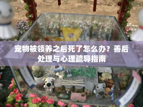 宠物被领养之后死了怎么办？善后处理与心理疏导指南