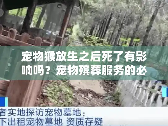 宠物猴放生之后死了有影响吗？宠物殡葬服务的必要性解析