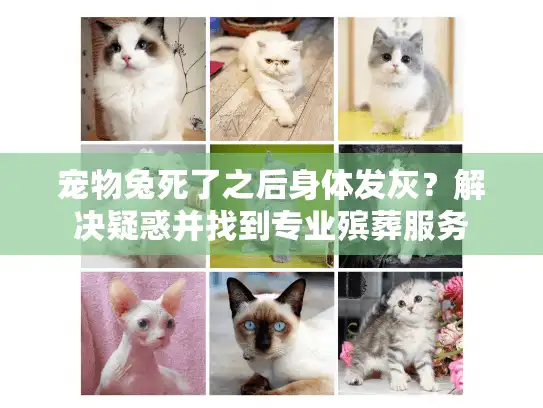 宠物兔死了之后身体发灰？解决疑惑并找到专业殡葬服务