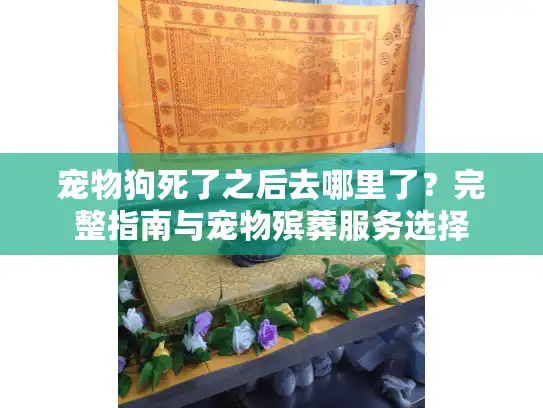 宠物狗死了之后去哪里了？完整指南与宠物殡葬服务选择