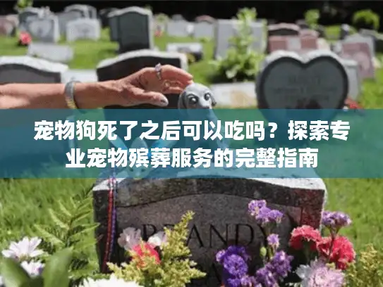 宠物狗死了之后可以吃吗？探索专业宠物殡葬服务的完整指南