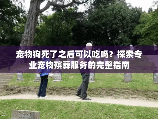宠物狗死了之后可以吃吗？探索专业宠物殡葬服务的完整指南