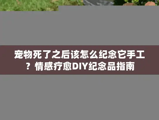 宠物死了之后该怎么纪念它手工？情感疗愈DIY纪念品指南
