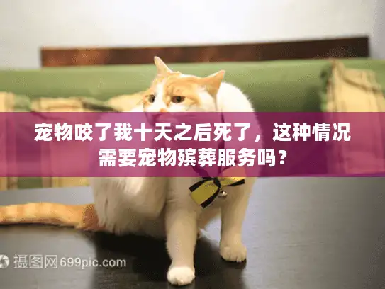 宠物咬了我十天之后死了，这种情况需要宠物殡葬服务吗？