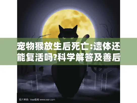 宠物猴放生后死亡:遗体还能复活吗?科学解答及善后指南
