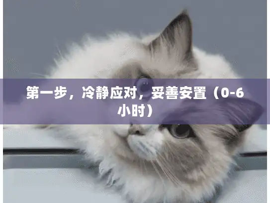 第一步，冷静应对，妥善安置（0-6小时）