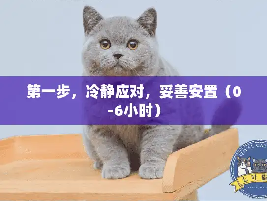 第一步，冷静应对，妥善安置（0-6小时）