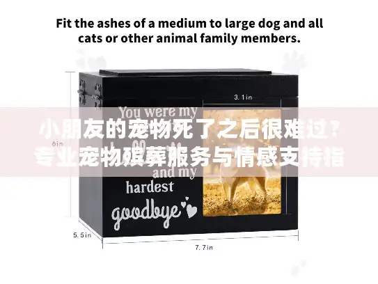 小朋友的宠物死了之后很难过？专业宠物殡葬服务与情感支持指南