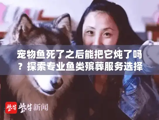 宠物鱼死了之后能把它炖了吗？探索专业鱼类殡葬服务选择