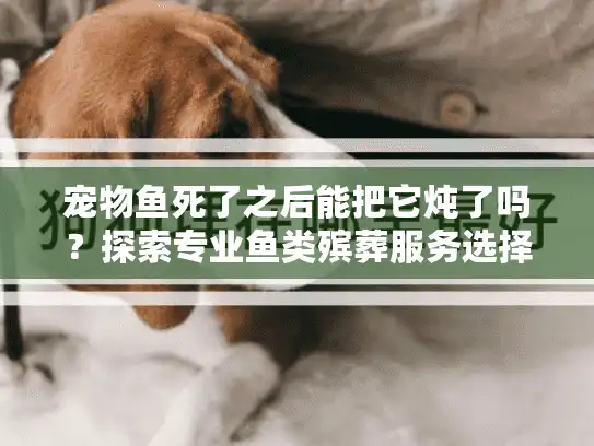宠物鱼死了之后能把它炖了吗？探索专业鱼类殡葬服务选择