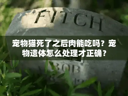宠物猫死了之后肉能吃吗？宠物遗体怎么处理才正确？