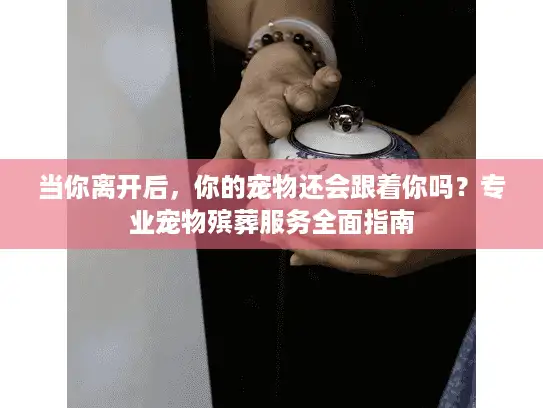 当你离开后，你的宠物还会跟着你吗？专业宠物殡葬服务全面指南