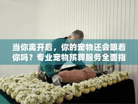 当你离开后，你的宠物还会跟着你吗？专业宠物殡葬服务全面指南