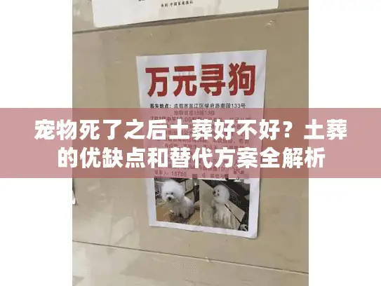 宠物死了之后土葬好不好？土葬的优缺点和替代方案全解析