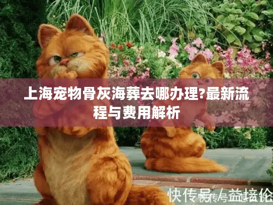 上海宠物骨灰海葬去哪办理?最新流程与费用解析