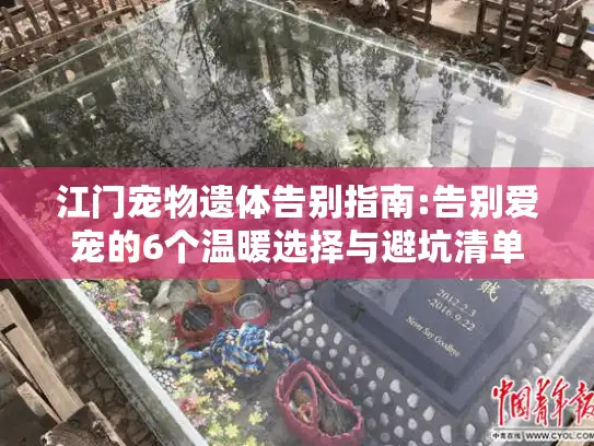 江门宠物遗体告别指南:告别爱宠的6个温暖选择与避坑清单