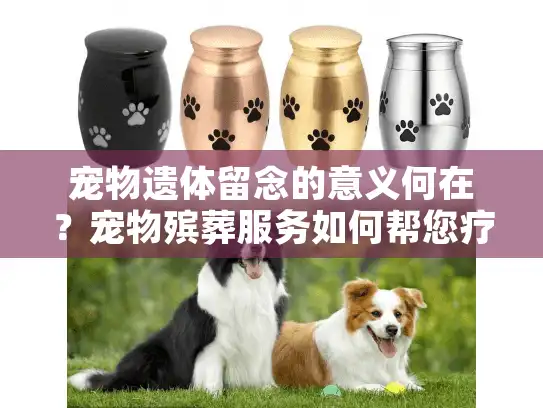 宠物遗体留念的意义何在？宠物殡葬服务如何帮您疗愈伤痛