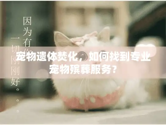 宠物遗体焚化，如何找到专业宠物殡葬服务？