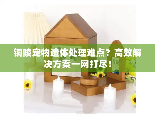 铜陵宠物遗体处理难点？高效解决方案一网打尽！