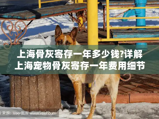 上海骨灰寄存一年多少钱?详解上海宠物骨灰寄存一年费用细节