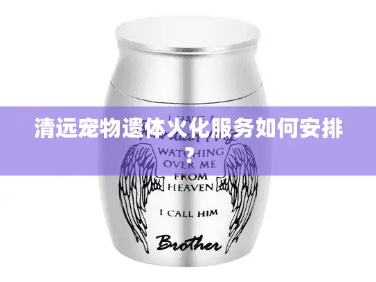 清远宠物遗体火化服务如何安排？