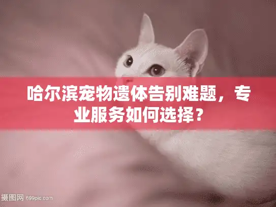哈尔滨宠物遗体告别难题，专业服务如何选择？