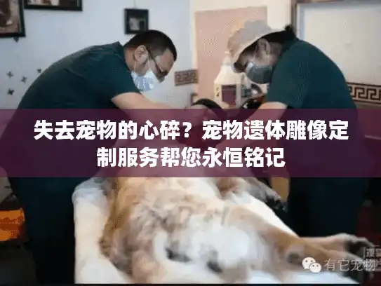 失去宠物的心碎？宠物遗体雕像定制服务帮您永恒铭记