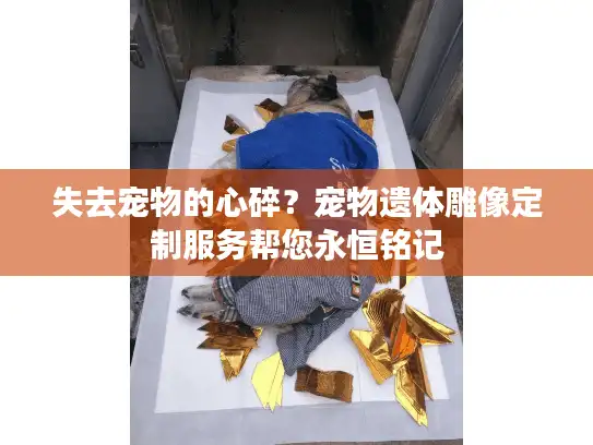 失去宠物的心碎？宠物遗体雕像定制服务帮您永恒铭记