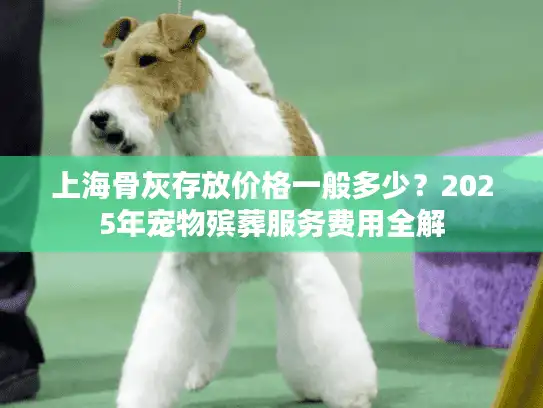 上海骨灰存放价格一般多少？2025年宠物殡葬服务费用全解