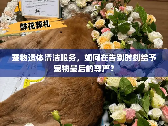 宠物遗体清洁服务，如何在告别时刻给予宠物最后的尊严？