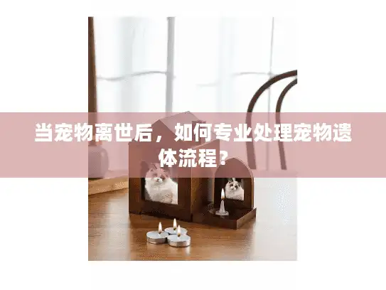 当宠物离世后，如何专业处理宠物遗体流程？