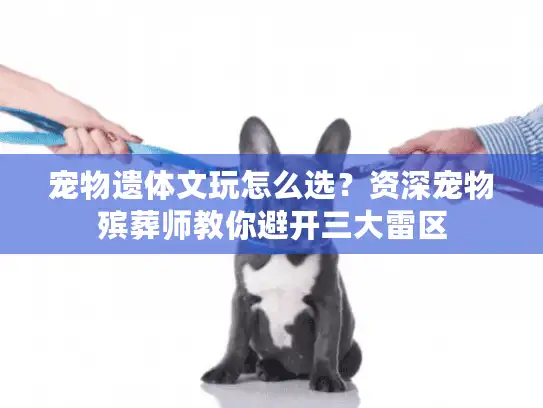 宠物遗体文玩怎么选？资深宠物殡葬师教你避开三大雷区