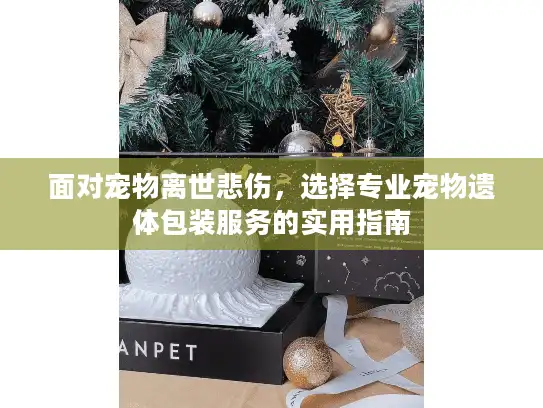 面对宠物离世悲伤，选择专业宠物遗体包装服务的实用指南